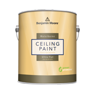 Interior Ceiling Paint